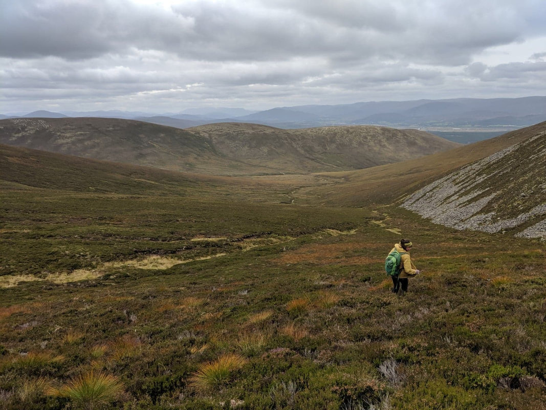 Hiking in the Cairngorms National Park near Sgor Gaoith, the edges of the Glenfeshie Plateau
