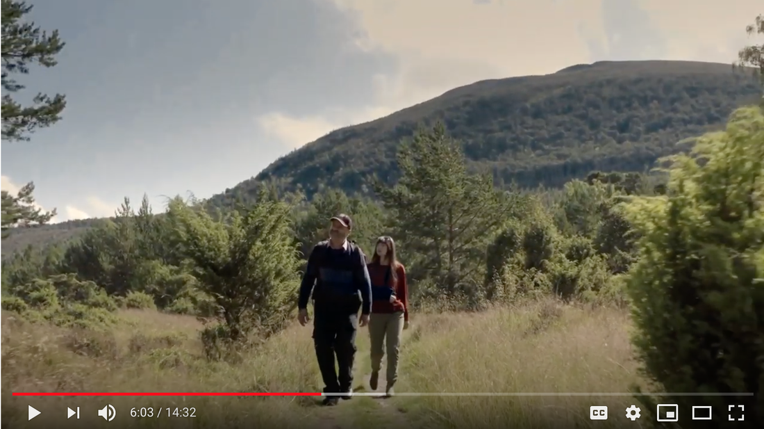 Still from Plantlife Scotland's short film on the Cairngorms Wild Plant ProjectPicture